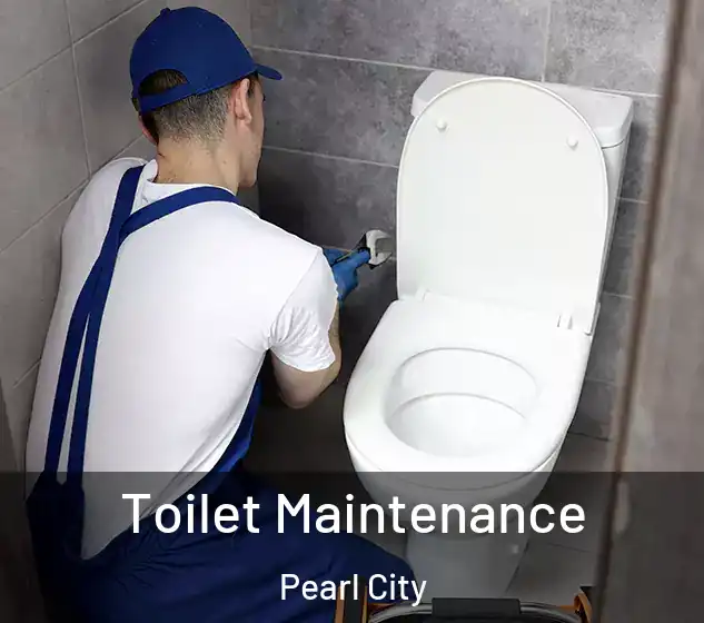  Toilet Maintenance Pearl City