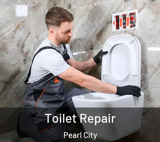  Toilet Repair Pearl City