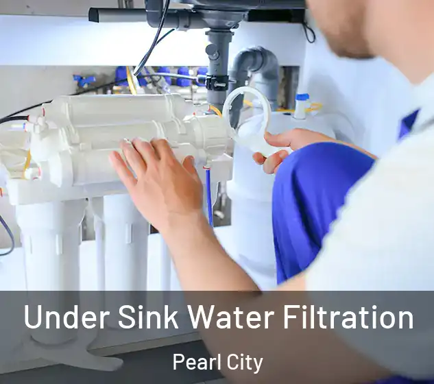  Under Sink Water Filtration Pearl City