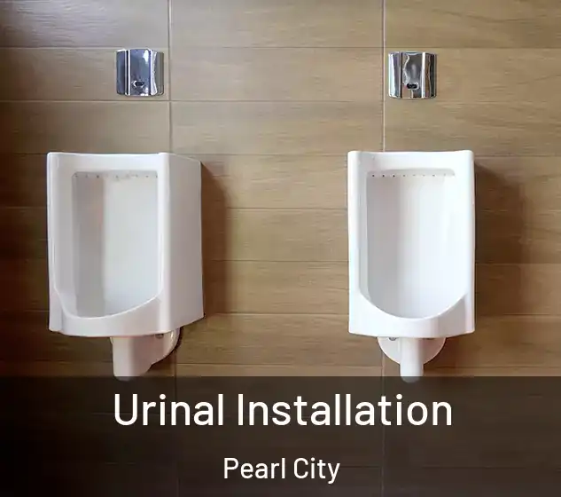  Urinal Installation Pearl City