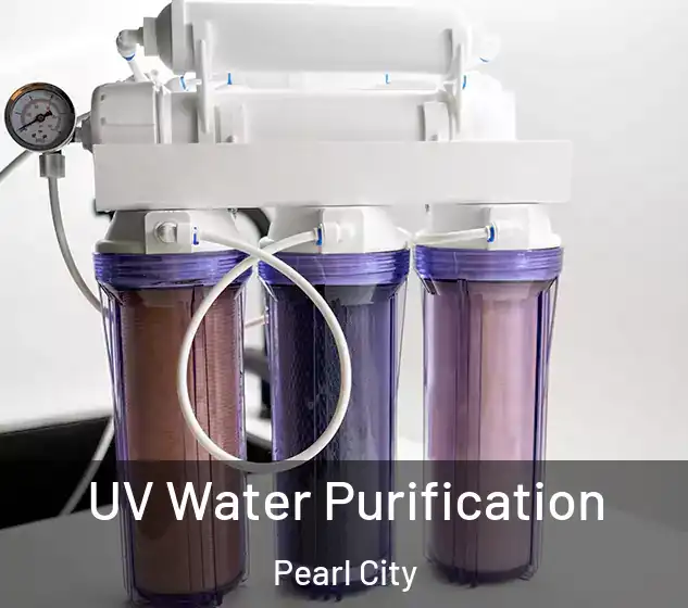  UV Water Purification Pearl City