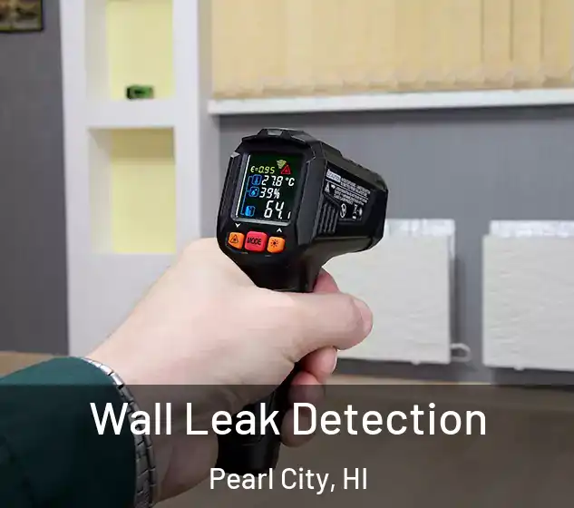  Wall Leak Detection Pearl City, HI