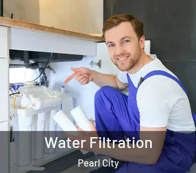  Water Filtration Pearl City
