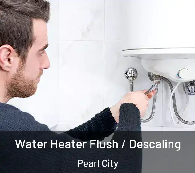  Water Heater Flush / Descaling Pearl City