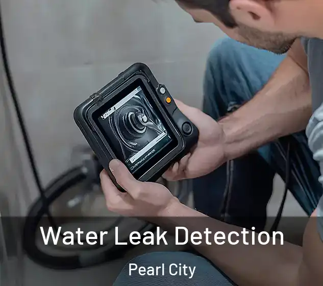  Water Leak Detection Pearl City
