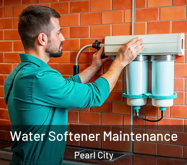  Water Softener Maintenance Pearl City