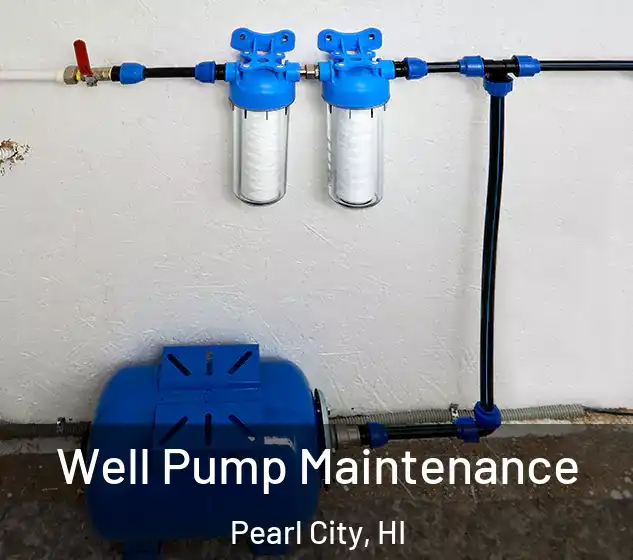  Well Pump Maintenance Pearl City, HI