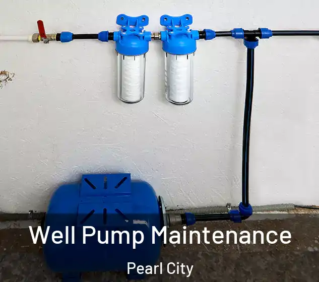  Well Pump Maintenance Pearl City