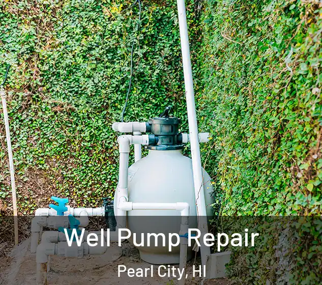  Well Pump Repair Pearl City, HI