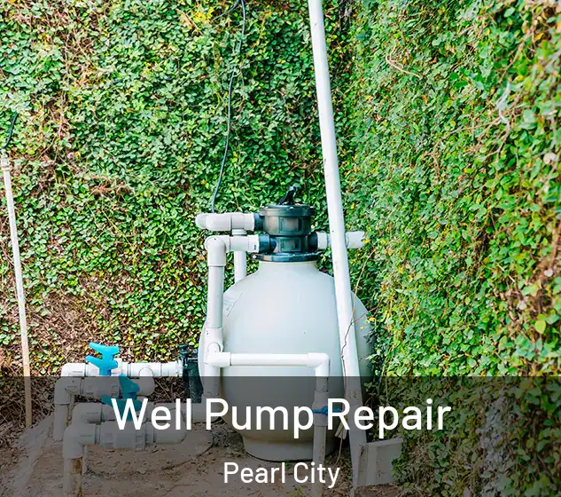  Well Pump Repair Pearl City