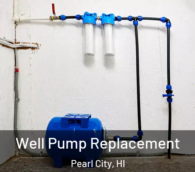  Well Pump Replacement Pearl City, HI